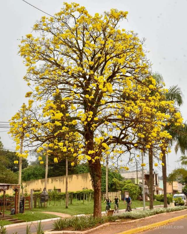 Esta primavera, la ciudad  ofrece postales únicas que invitan a disfrutar de su belleza