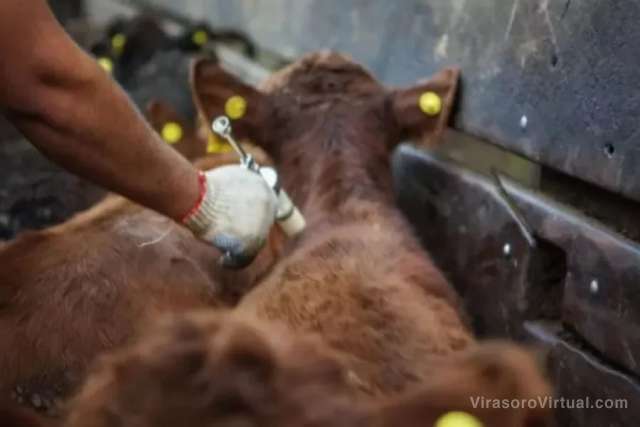 Los productores rurales correntinos se movilizarán el lunes 7 de octubre