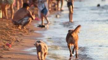 El Servicio Meteorológico Nacional informó que el martes la sensación térmica superó los 48 grados