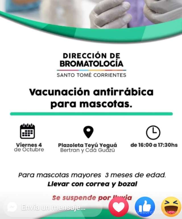 Vacunacion antirrabica