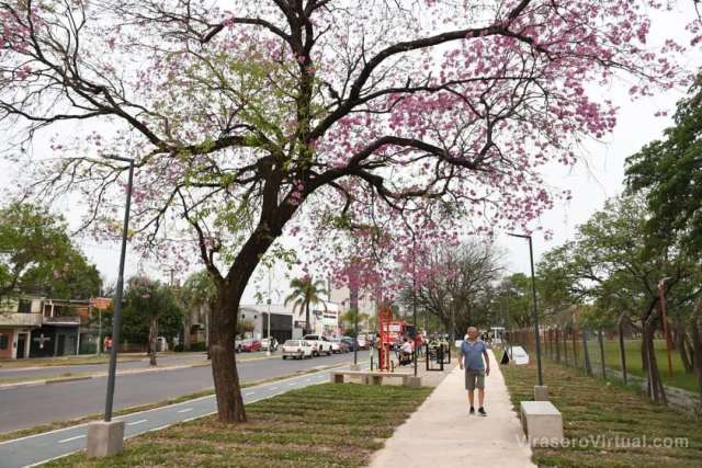 Nuevo Paseo del Estudiante