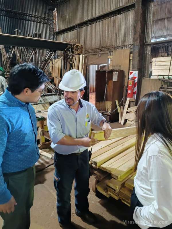 Potenciar las cadenas de valor de la foresto-industria en Corrientes
