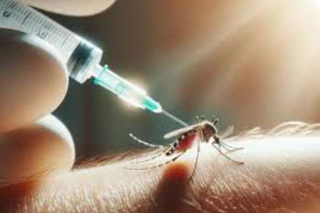 En Ctes se está enfrentando una situación preocupante debido a la falta de vacunas contra el dengue