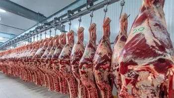 Las exportaciones de carne en Argentina, las cuales han alcanzado un nivel récord en los últimos 57 años