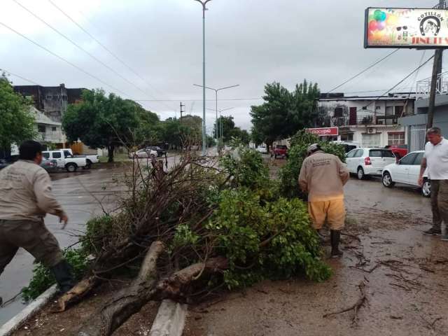 Plan hidrico Acciones