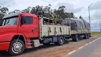 La Gendarmería Nacional secuestró más de 20 toneladas de cobre, bronce y aluminio