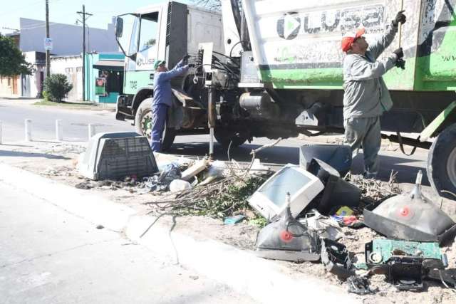 Juntos contra el dengue
