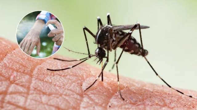El repelente casero para ahuyentar mosquitos es una mezcla de agua y extracto puro de vainilla,