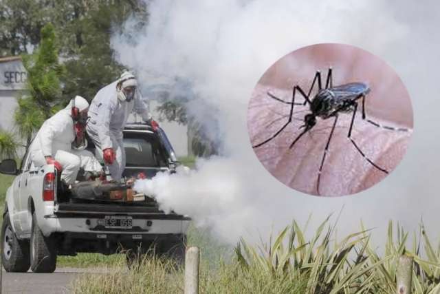 Brote de dengue en Corrientes