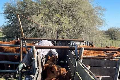 La importancia de implementar estrategias sanitarias exhaustivas y certeras