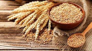 Exportación de trigo argentino a China, lo que representa un hecho histórico para el país