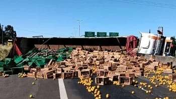 Un camión que transportaba naranjas hacia Buenos Aires volcó en la Autovía 14,