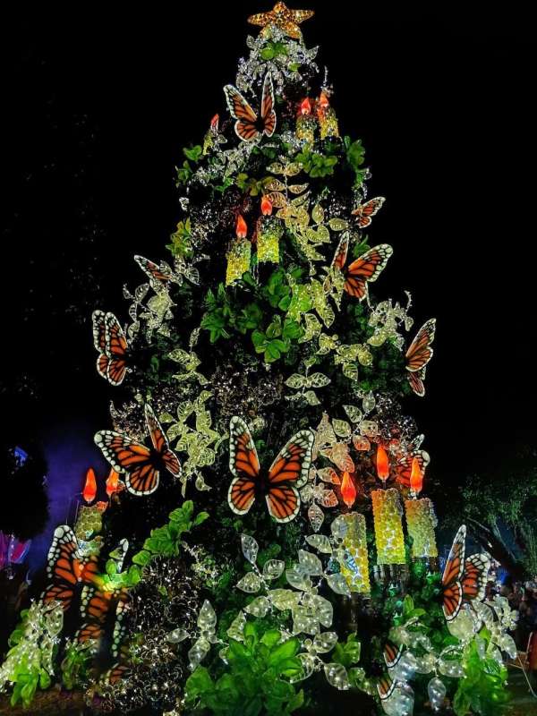 El pueblo de Capioví, en Misiones, es considerado el "pueblo más navideño de la Argentina"