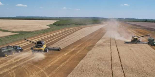 La cosecha de trigo en Argentina avanza con un 64% de la superficie total cosechada,