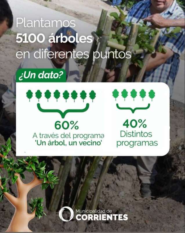 Plan de Arbolado Urbano 2024