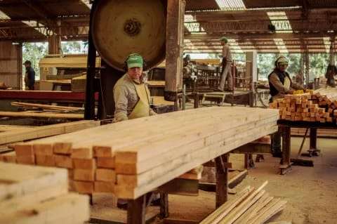 La provincia de Corrientes registró 3 meses de leve crecimiento en la cantidad de trabajadores privados,