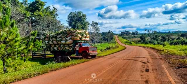 El gobierno de Misiones está trabajando en un plan para apoyar al sector yerbatero,