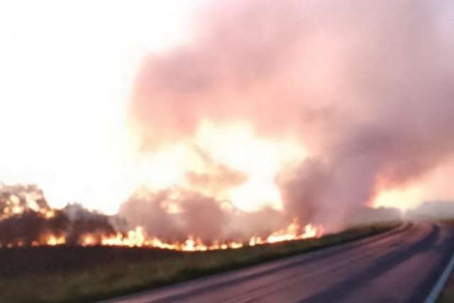 Se registró un incendio de pastizales en el Paraje Yacarí,