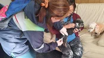 El Ministerio de Salud Pública de Corrientes recordó las medidas de prevención ante la Leishmaniasis