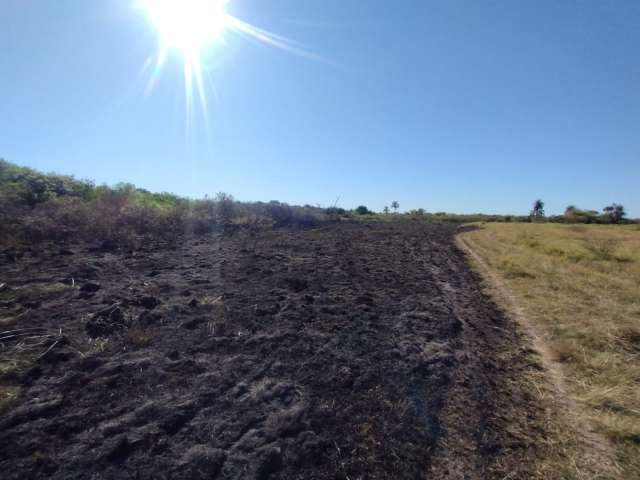 Un incendio de origen intencional afectó la Reserva Municipal Taji Poty