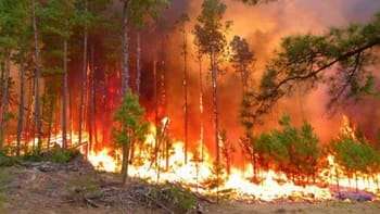 El gobierno de Corrientes advirtió que se espera un fin de semana con condiciones extremas para incendios,