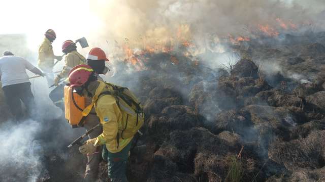 Un incendio en una estancia cerca de Santo Tomé, Corrientes,