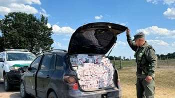 La Gendarmería Nacional interceptó una carga de 19.500 paquetes de cigarrillos