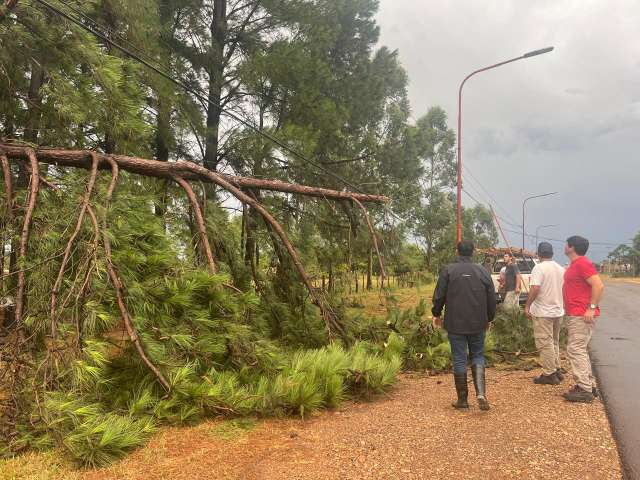 Defensa Civil Municipal de Santo Tomé reportó 50 pedidos de ayuda