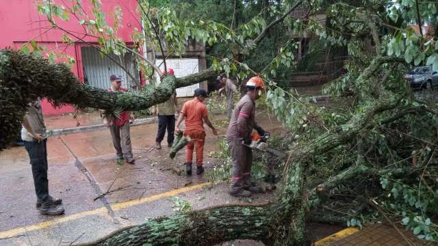 Una intensa tormenta afectó a Mercedes y Santo Tomé causando daños significativos