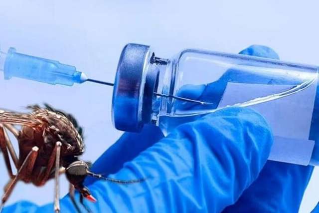 Las vacunas contra el dengue llegarán a Corrientes en abril,