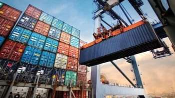 Las exportaciones de las economías regionales del Nordeste Argentino (NEA) aumentaron un 29,5% en 2024