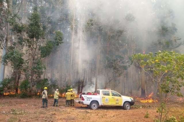 El gobernador Valdés, aseguró que se están combatiendo los incendios forestales en la provincia con aviones hidrantes