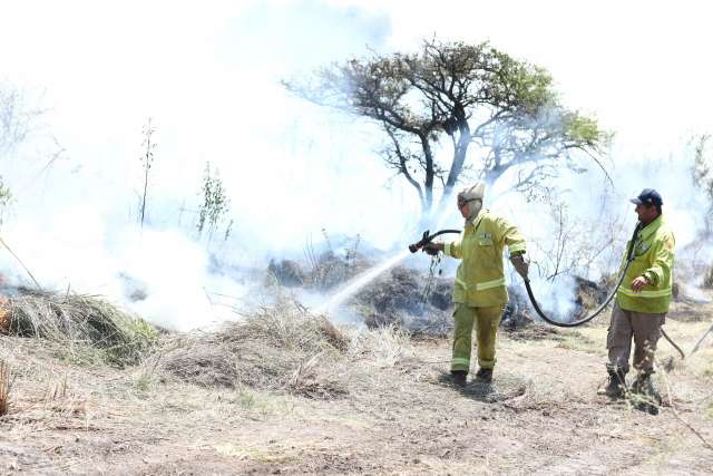 En Corrientes, se han quemado casi 250.000 hectáreas de campo debido a incendios forestales en lo que va de 2025