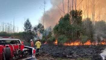 Corrientes tiene dos focos de incendio activos: las impactantes imágenes