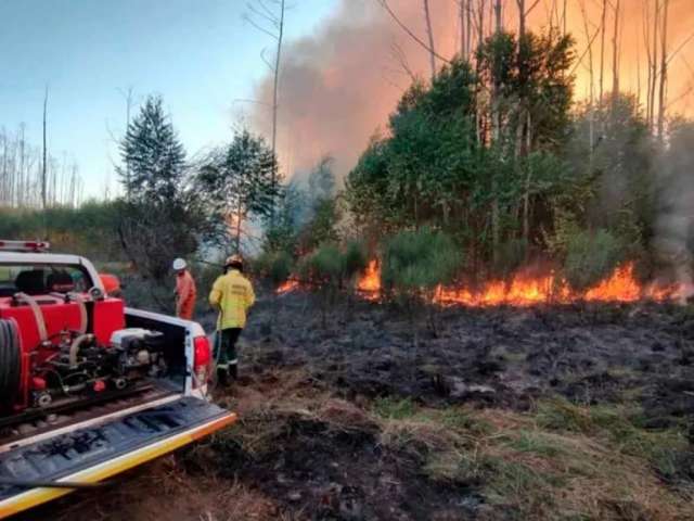 Piden declarar la emergencia ignea
