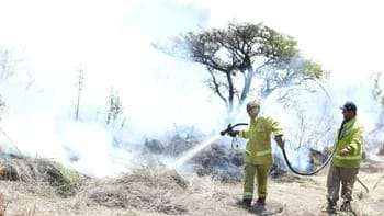 Más de 94.000 hectáreas fueron destruidas por el fuego