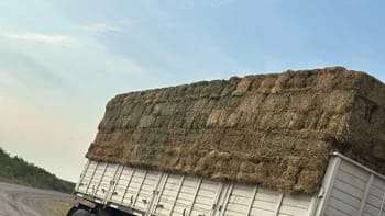 Comenzó la ayuda del Gobierno a los productores afectados por el fuego