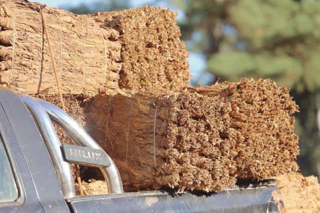 El PAyS propuso crear una Mesa Provincial de Concertación del Precio del Tabaco en Misiones,