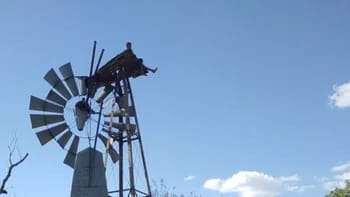 La policía rescató a un hombre de 36 años que se encontraba en lo alto de un molino de viento