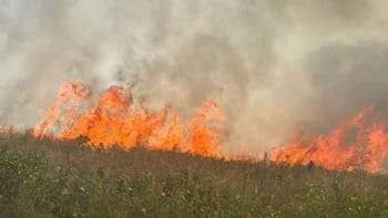 Un incendio en un descampado en el barrio Laguna Soto, generó desesperación entre los vecinos
