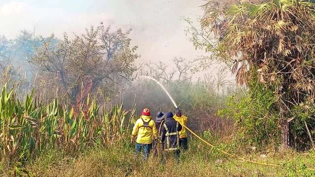 El Comando Operativo de Emergencias de Corrientes informó que se sofocaron 3 incendios en la provincia