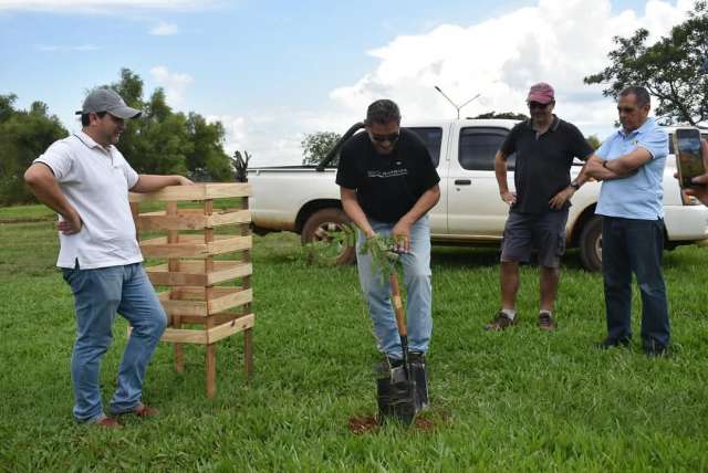 El Rotary Club Santo Tomé llevó a cabo una jornada ambiental en el Paseo Costero,