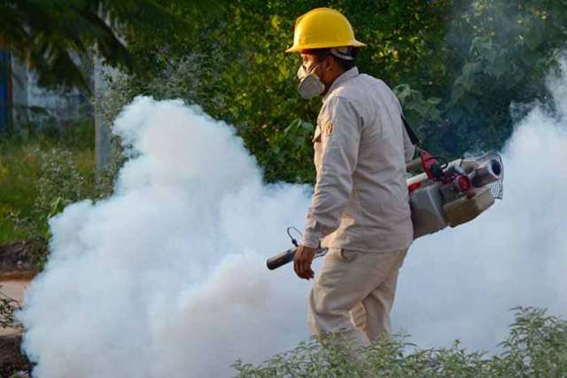 Se confirmó un nuevo caso de dengue en Corrientes,