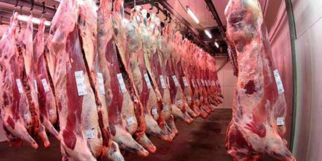 En febrero, las exportaciones de carne vacuna en Argentina cayeron un 32%