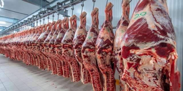 Argentina abrió el mercado de Paraguay para la exportación de carne porcina,