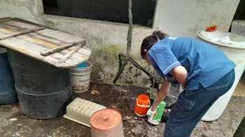 Corrientes acumula 25 casos de dengue, con 22 casos de alta y 3 activos en Esquina