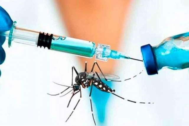 Dengue: Corrientes es la provincia que más caro compró la vacuna en 2024