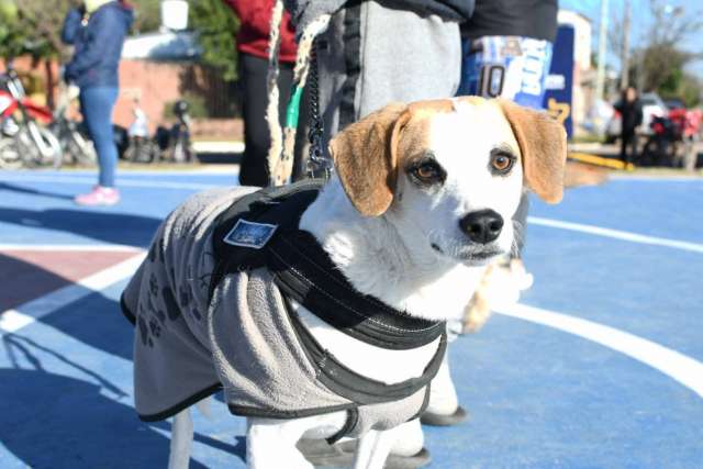 LaMuniEnTuBarrio + #MascotasSaludables llegó al barrio Independencia
