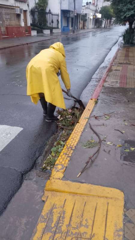 Trabajo reforzado