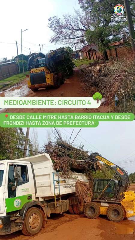 Medio ambiente: Circuito 4